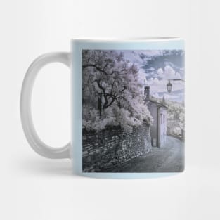 Street scene, Arquà Petrarca, Colli Eugenai, Veneto, Italy Mug